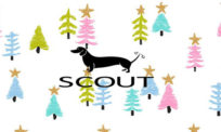 Scout Bags
